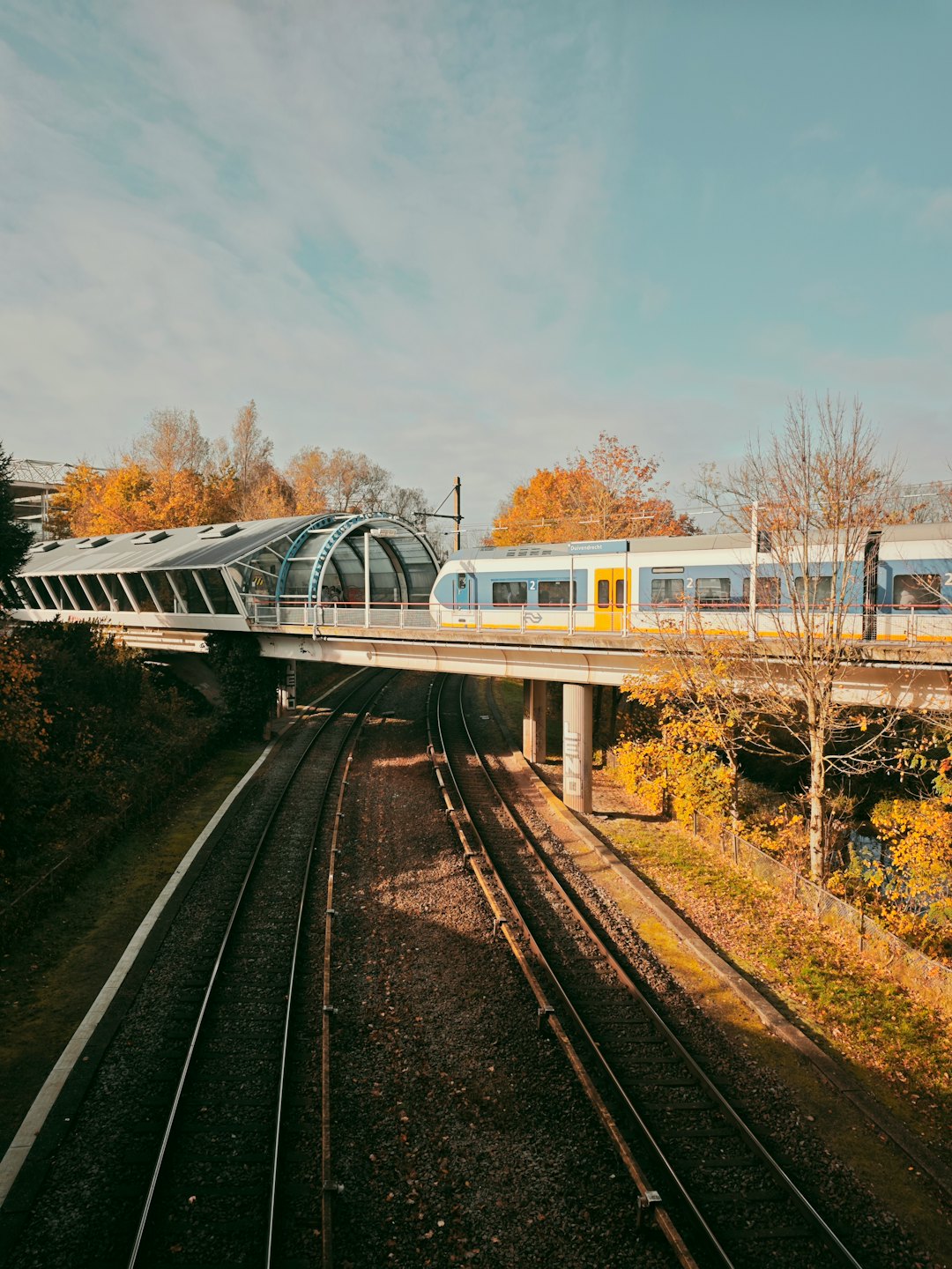 Ein Personenzug überquert eine Hochbrücke über herbstlichen Bäumen.